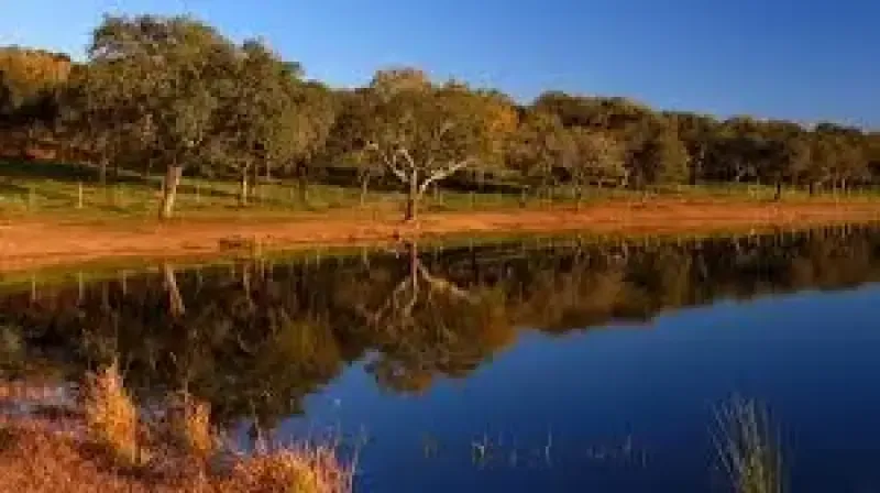 Montemor-o-Novo: Meio dia na represa com piquenique e stand-up paddle. - Main