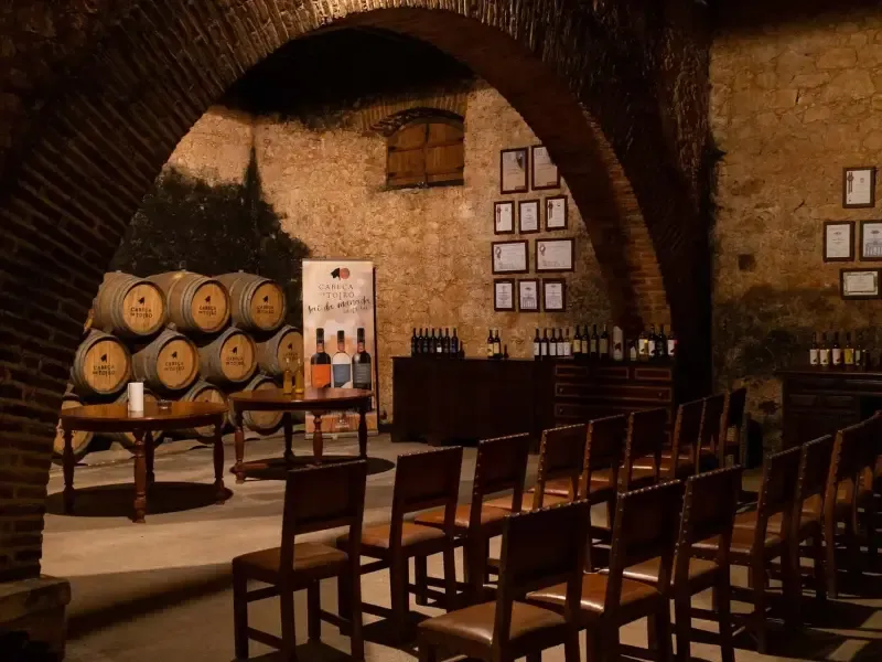 Experimente el exquisito maridaje de vinos y quesos en Quinta São João Batista - 2