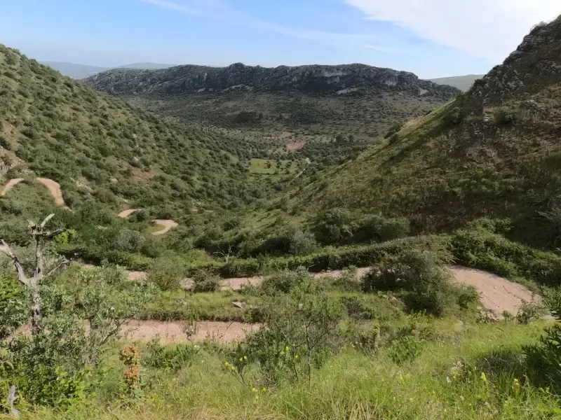PORTO DE MÓS: DISCOVER FÓRNEA VALLEY E-BIKE TOUR - 2