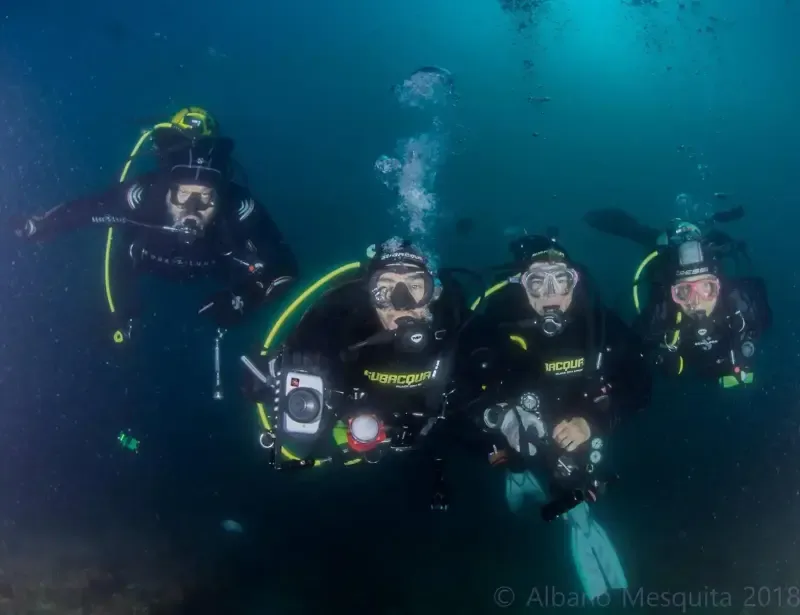 image 4 - Torne-se um mergulhador certificado em águas abertas em Peniche - Sua aventura subaquática começa aqui!