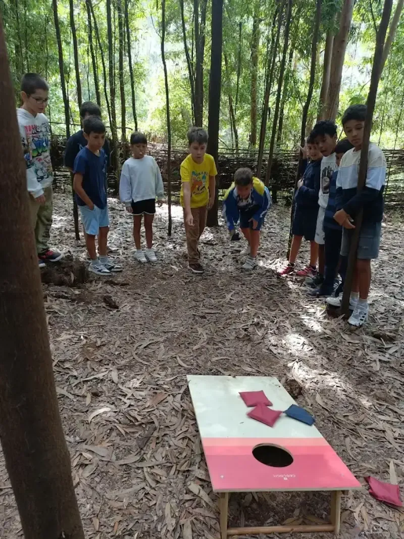 Traditional games - Main