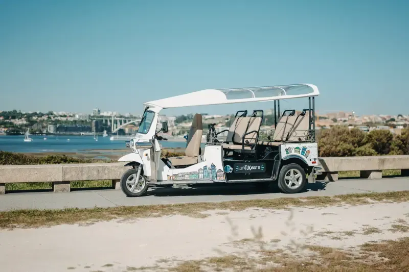 1.5-Hour Private Electric Tuk Tuk Sightseeing Tour Historic Porto - Main