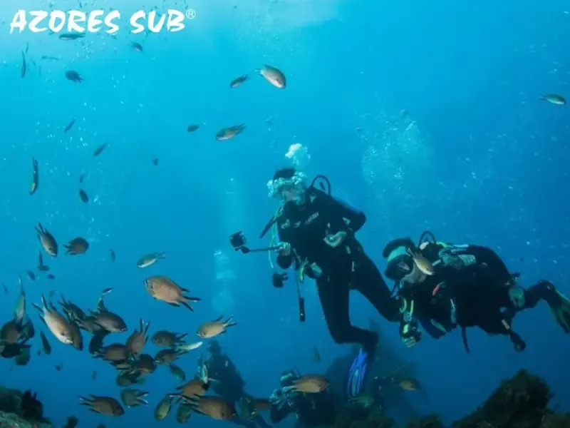 SCUBA DIVING TRIP - 3