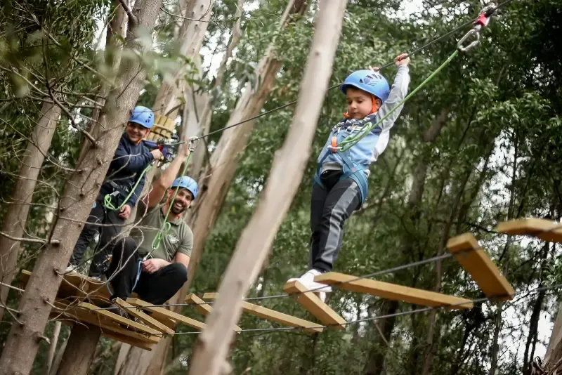 Tree Climbing - Main