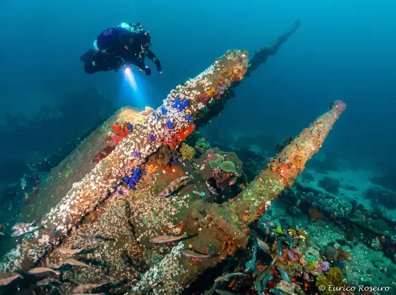 La inmersión más emblemática de Portugal: Bucea en el submarino U-boat 1277. - Main