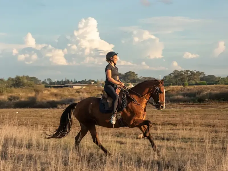 image 4 - Desfrute de um passeio a cavalo privado na praia com degustação de tapas e uma lembrança especial.