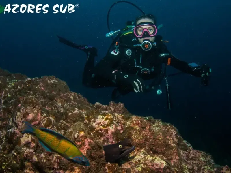 image 5 - SCUBA DIVING TRIP