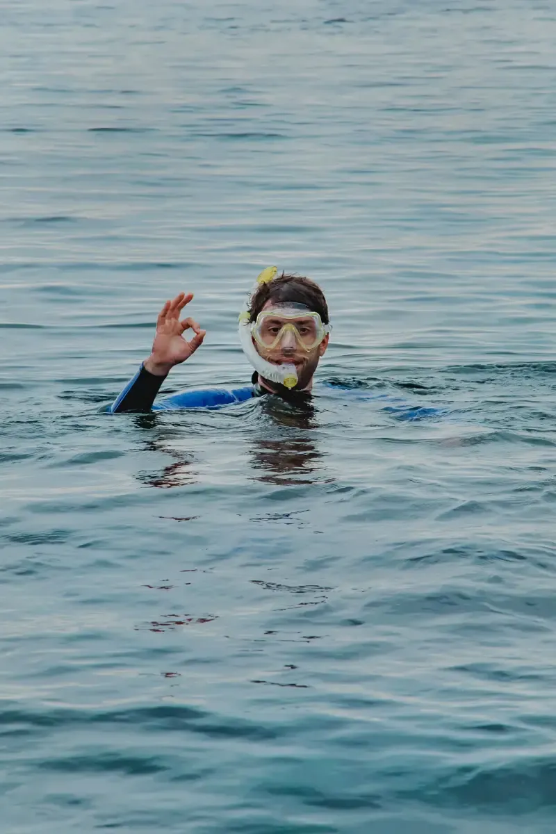 image 4 - Snorkeling on terceira island