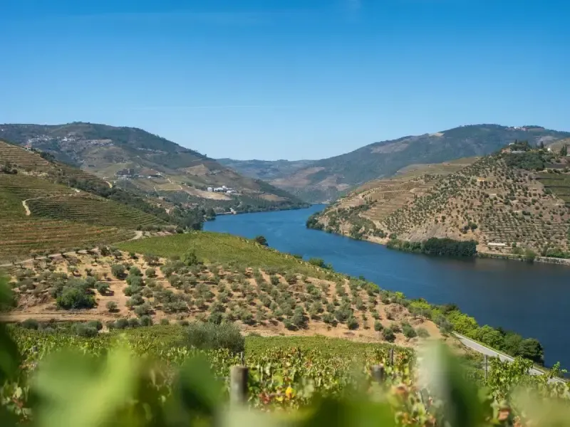 Excursión privada de un día completo al Valle del Duero para degustar vinos desde Lisboa. - 3