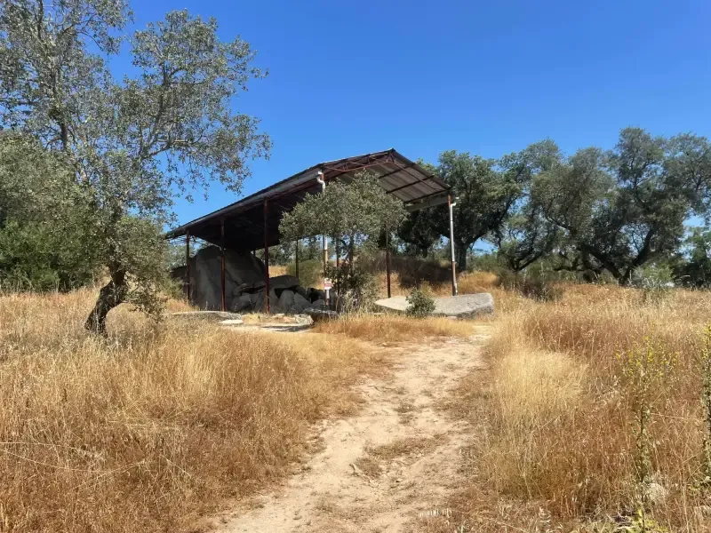 Évora: One-Day Tour of Megaliths - 2