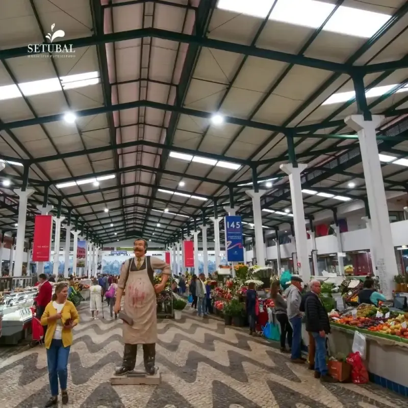 image 4 - Setúbal, Natureza e Cultura, entre Castelos, Praias e Montanhas