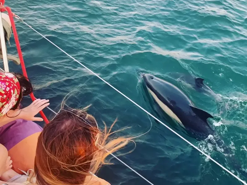 image 5 - Paseo cultural en velero por Lisboa