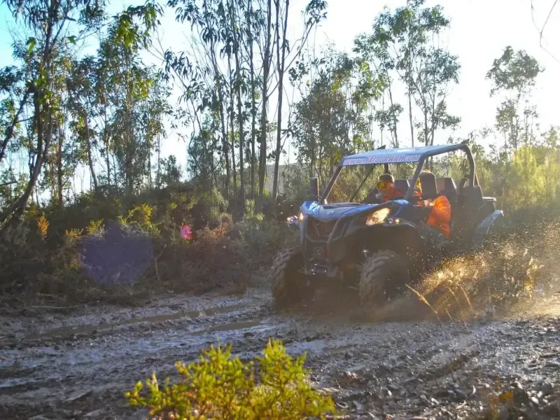 image 4 - Desde Oporto: Experiencia en Buggy de 2 horas + Puente Colgante 516 en el Geoparque de Arouca