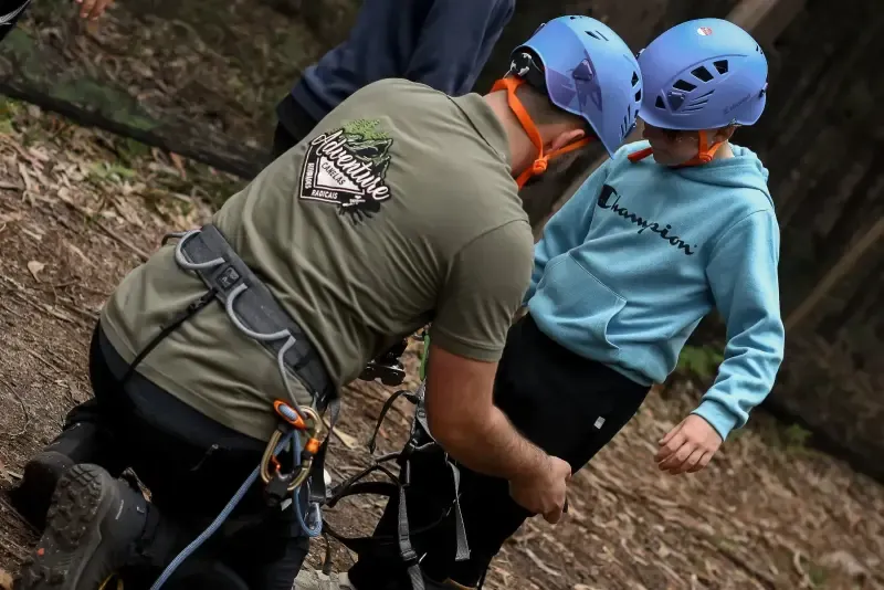 image 5 - Tree Climbing
