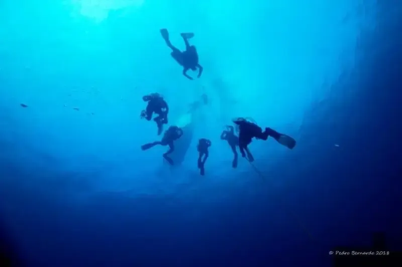 Torne-se um mergulhador certificado em águas abertas em Peniche - Sua aventura subaquática começa aqui! - 2