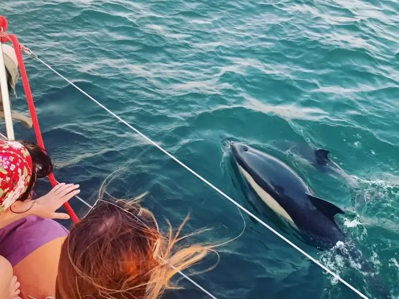 image 5 - Fun & Swim VIP Catamaran Tour