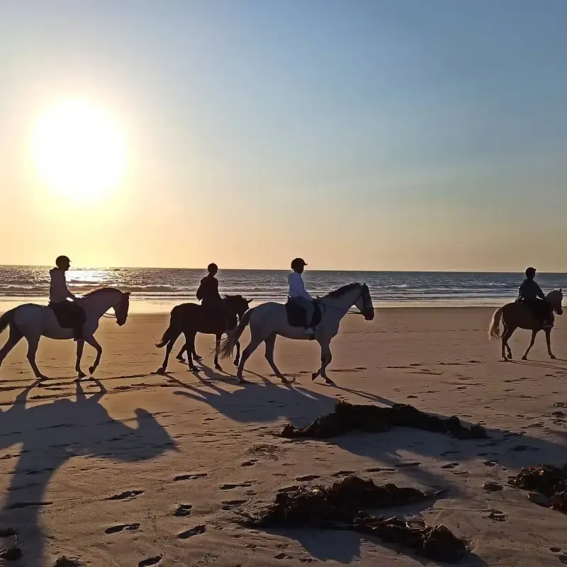 Passeios a cavalo na praia - Main