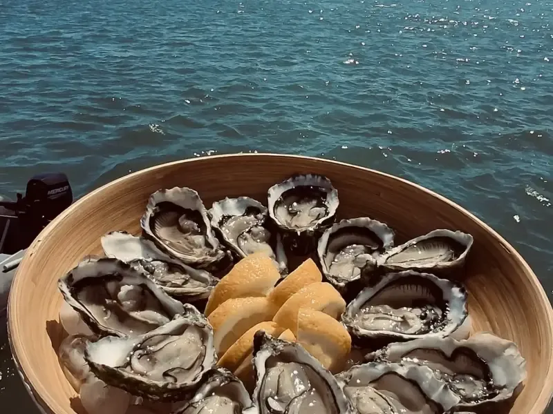 image 5 - Portimão: Cruzeiro de Catamarã de Luxo de Dia Inteiro