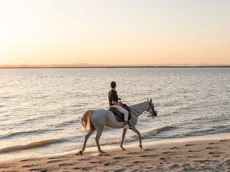 Passeio a cavalo privado ao pôr do sol na praia com tapas e lembrança. - 2