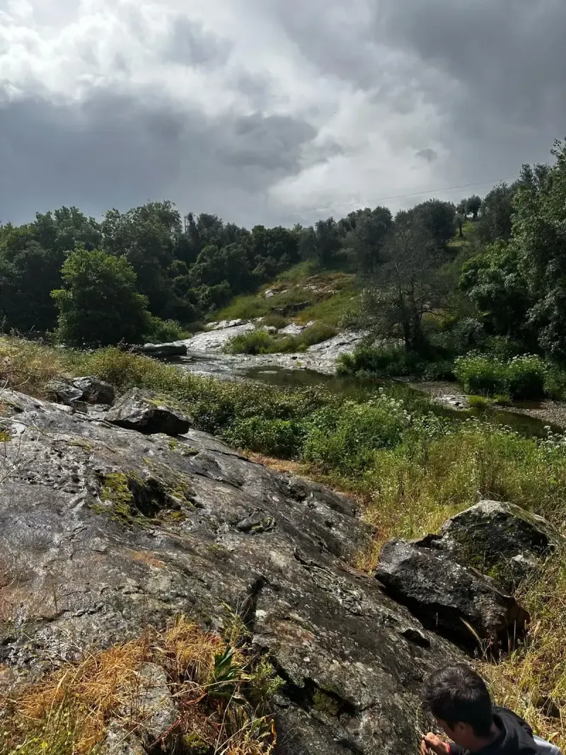image 5 - Montemor-o-Novo: Excursão guiada a pé com almoço incluído