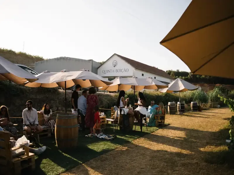 image 5 - Disfrute de un maridaje gourmet de vino y queso en Quinta do Boição