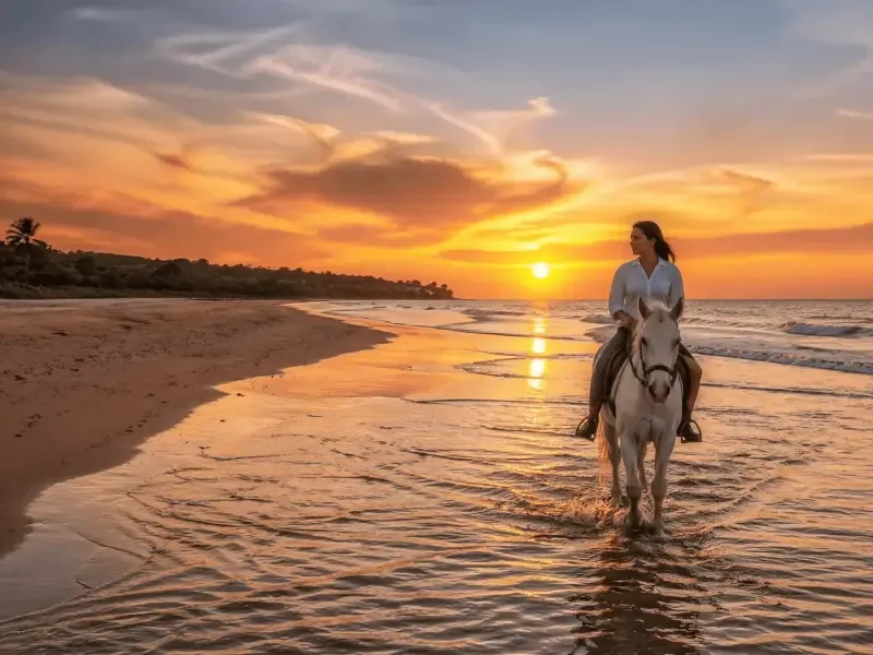 image 5 - Passeio a cavalo ao pôr-do-sol na praia de Esposende