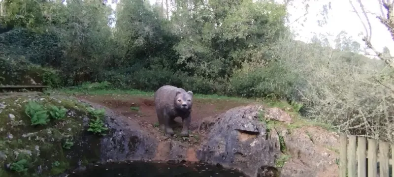 FÁTIMA: CAVERNAS E TRADIÇÃO E-BIKE TOUR - 2