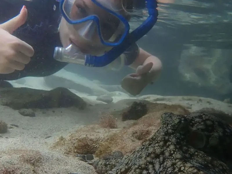 Tour guiado de snorkel en aguas protegidas - 3