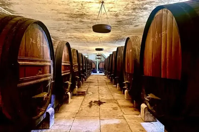 Private Full Day Setúbal and Arrábida Wine Tour with Lunch - All-inclusive - 3
