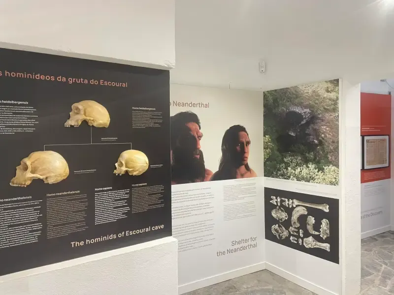 Montemor-o-Novo: Visita Guiada às Grutas do Escoural - 2