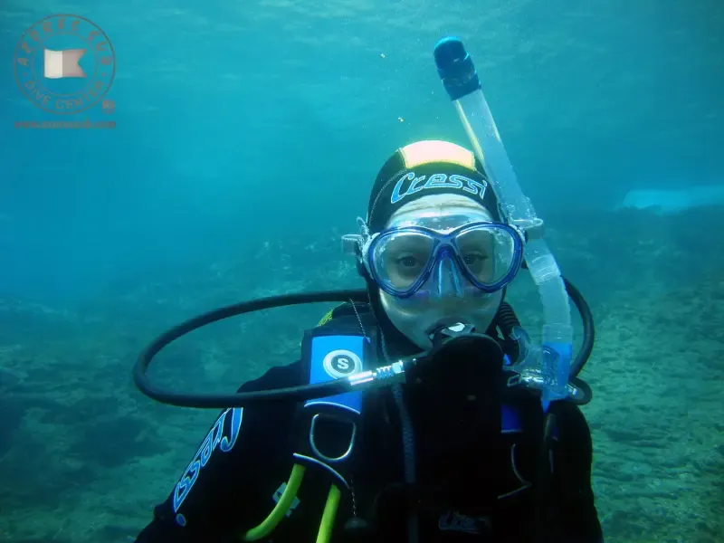 image 5 - Experimente mergulhar em redor do Ilhéu Vila Franca do Campo, nos Açores.