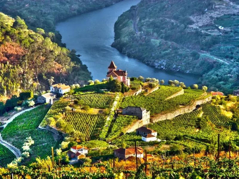 image 4 - Excursión privada de un día completo al Valle del Duero para degustar vinos desde Lisboa.