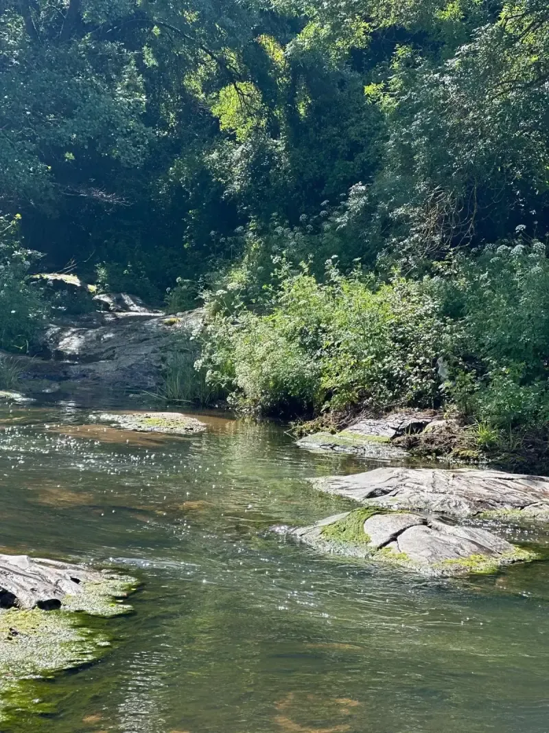 Évora: Guided Hiking Tour with Lunch - Main