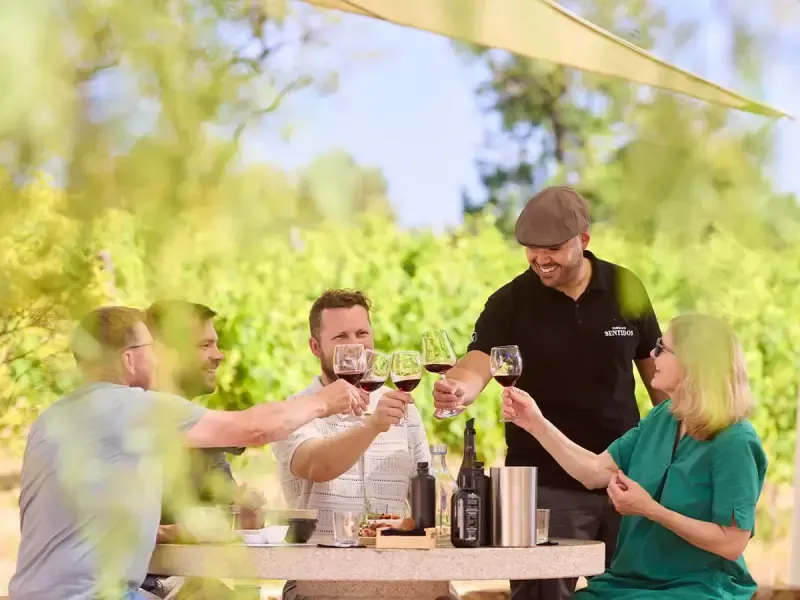 Algarve Vineyard Tour with Wine & Olive Oil Tasting at Quinta dos Sentidos - 2