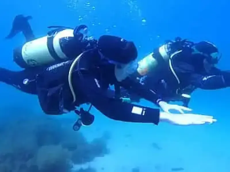 Meu primeiro mergulho com cilindro no oceano a partir de Sesimbra. - 2