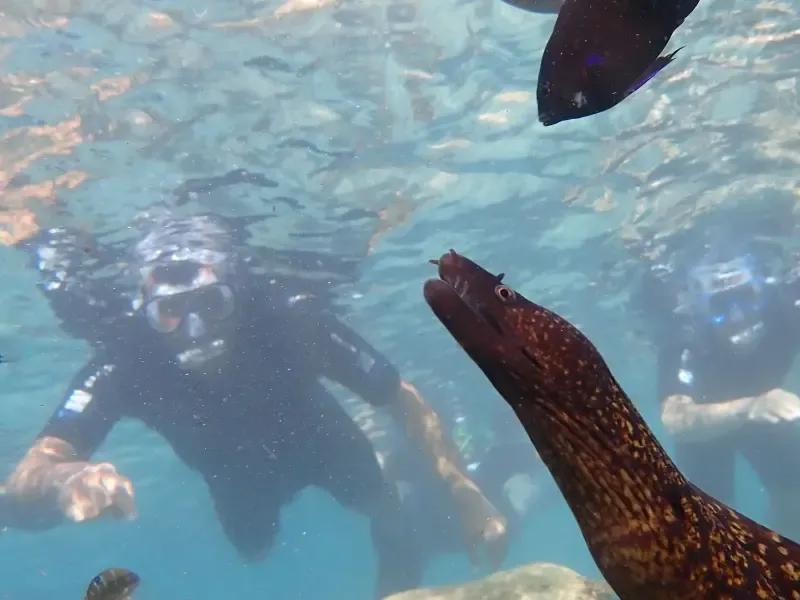 Tour guiado de snorkel en aguas protegidas - Main