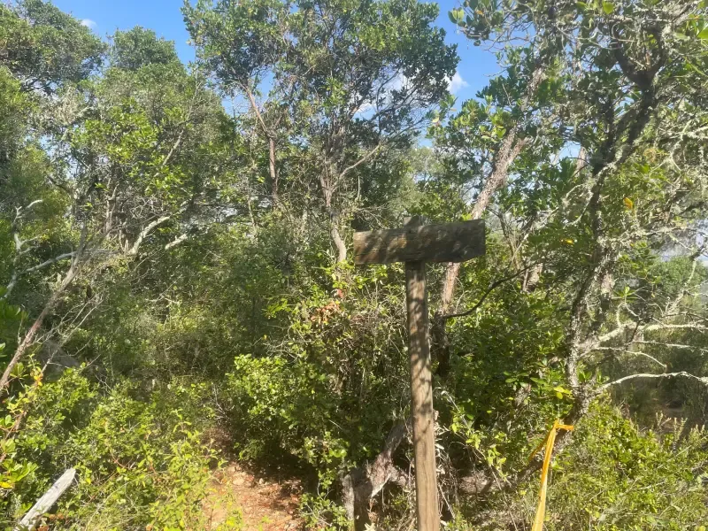 image 5 - Montemor-o-Novo: Caminhada Guiada ao Megalítico dos Almendres