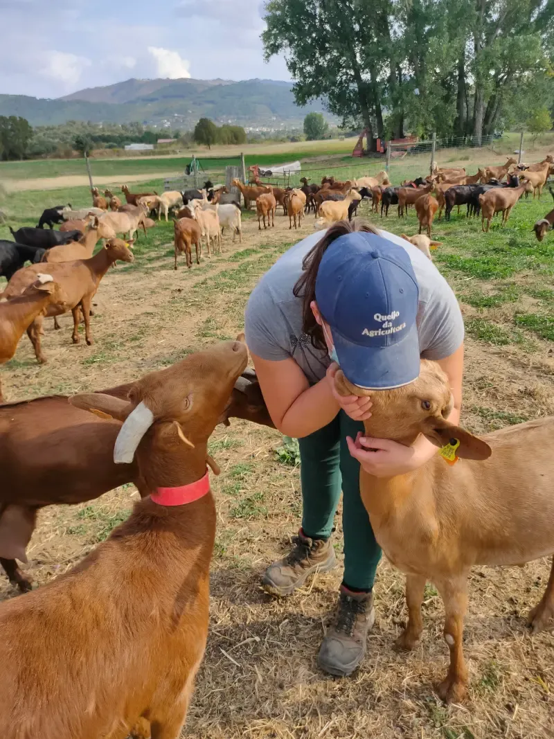 image 4 - Be a Shepherd for a Day: Discover the Beauty of Rural Life