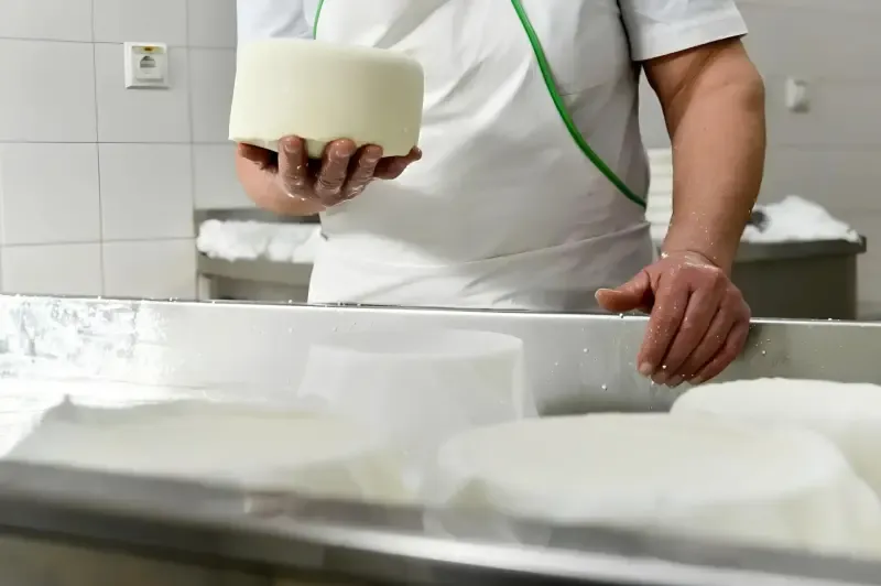 Private Azeitão Cheese Workshop, Wine Tasting & Sesimbra Tour - Main