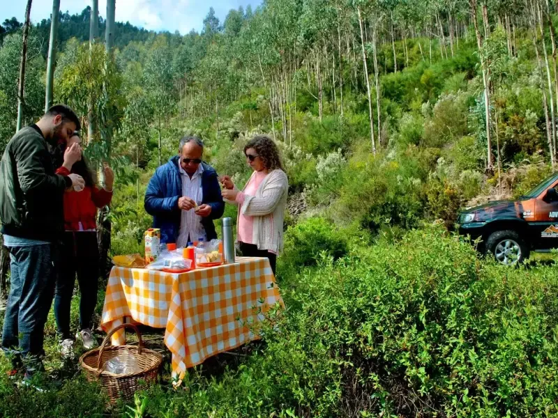 image 4 - Passeio de Jipe pelas Minas de Tungsténio do Geoparque Arouca, perto do Porto