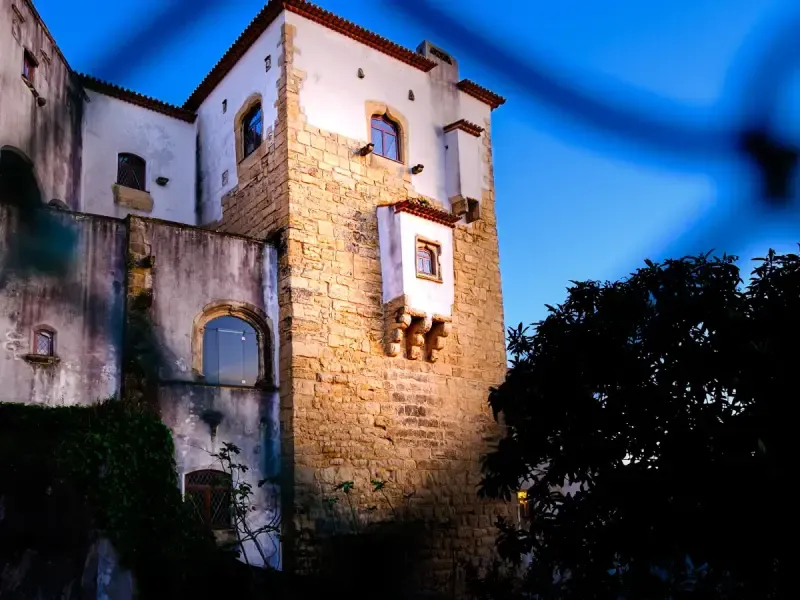 image 4 - Descubra a rica história de Coimbra: Visita guiada aos principais pontos turísticos