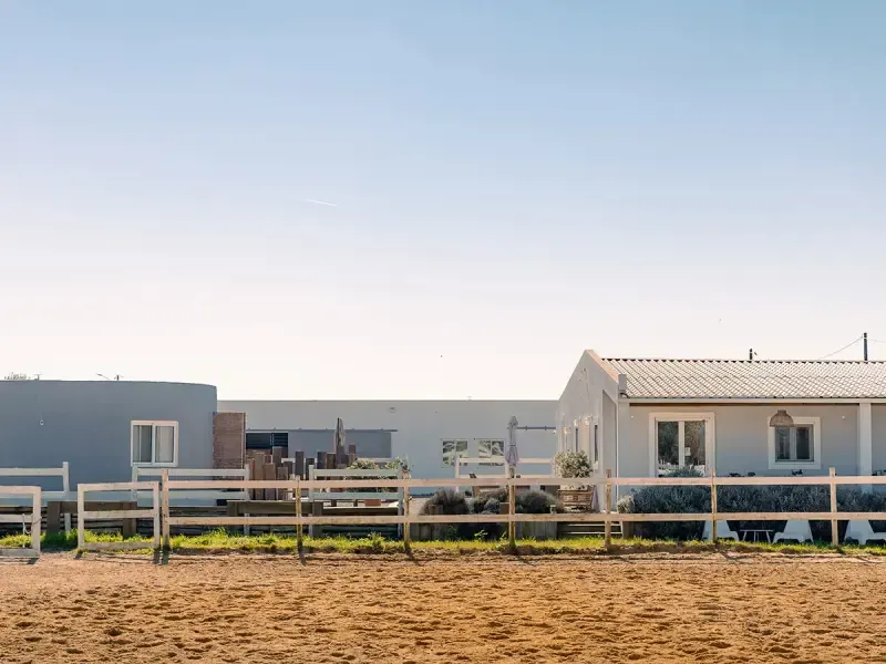 Private Beach Horseback Ride Experience: Enjoy Drinks & Capture Memories - 3