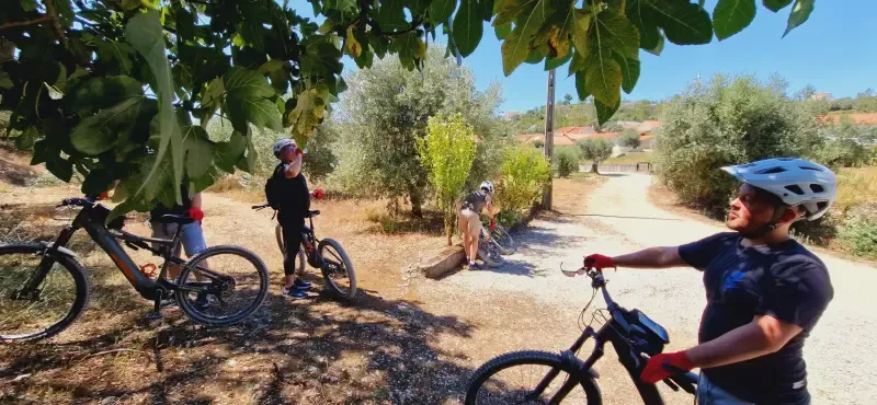 FÁTIMA: SANTUÁRIO, CASTELO E GASTRONOMIA ALL-IN E-BIKE TOUR - 3