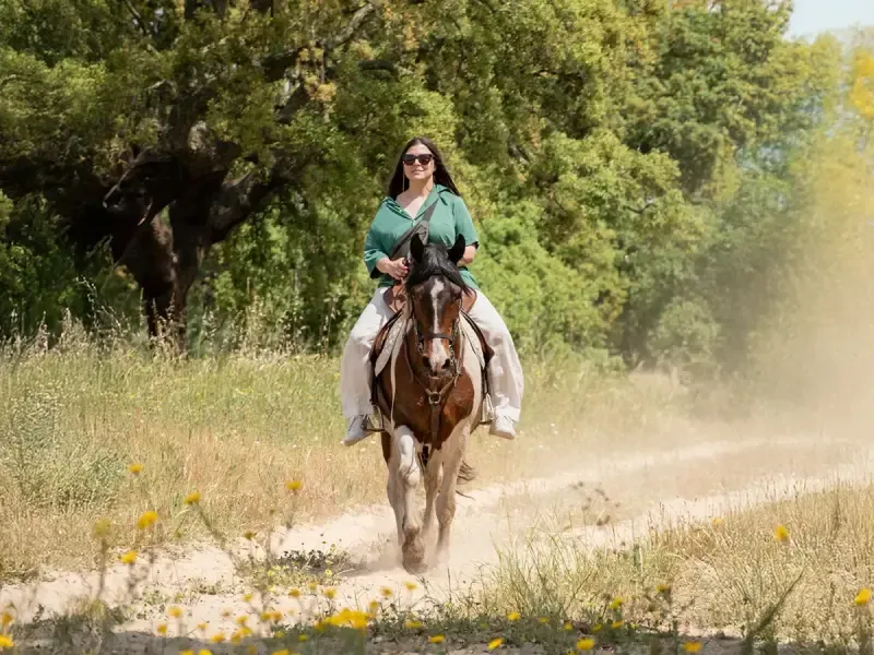 Private Beach Horseback Ride Experience: Enjoy Drinks & Capture Memories - 2
