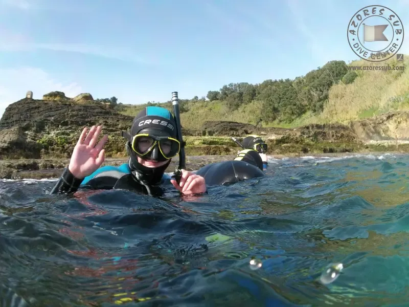 image 4 - SNORKELING AROUND VILA FRANCA DO CAMPO ISLET IN AZORES