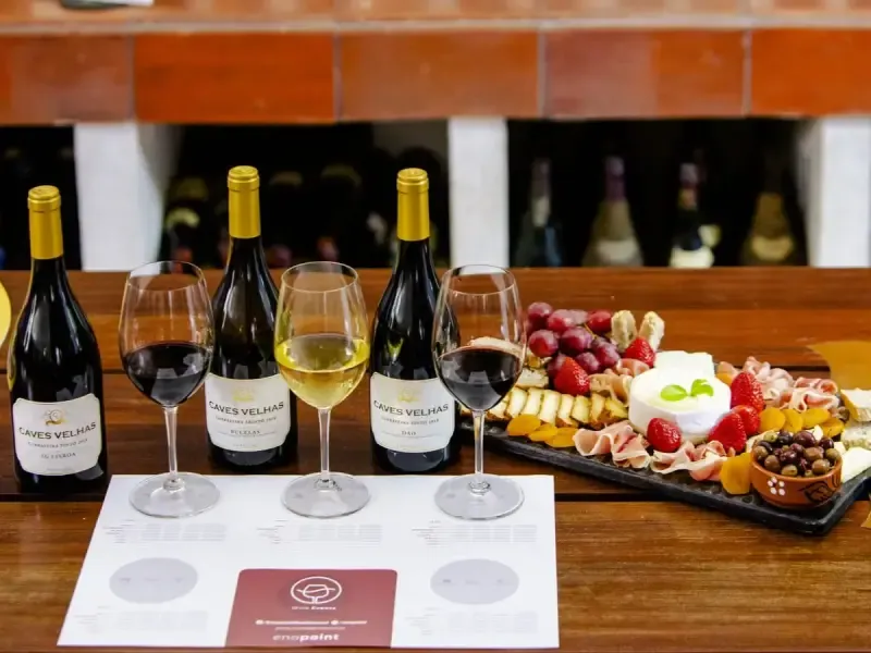 Disfrute de un maridaje gourmet de vino y queso en Quinta do Boição - Main