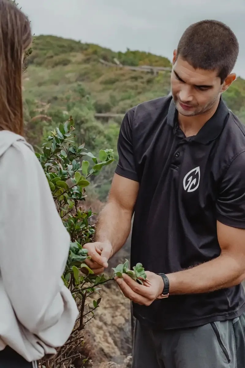 4 picos, 4 volcanes - 3