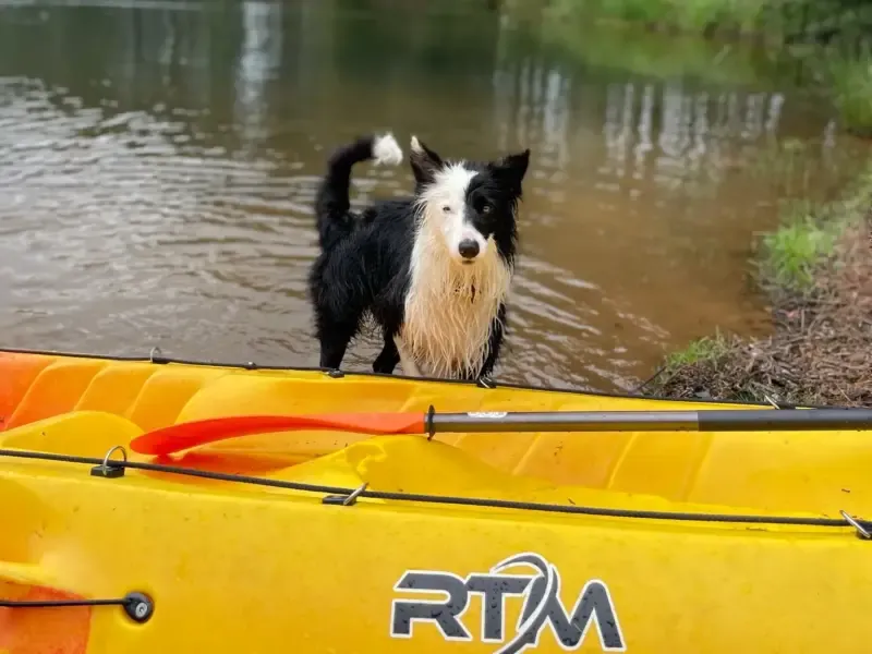 image 4 - Vive experiências emocionantes em desportos aquáticos na bela barragem de Marvão.