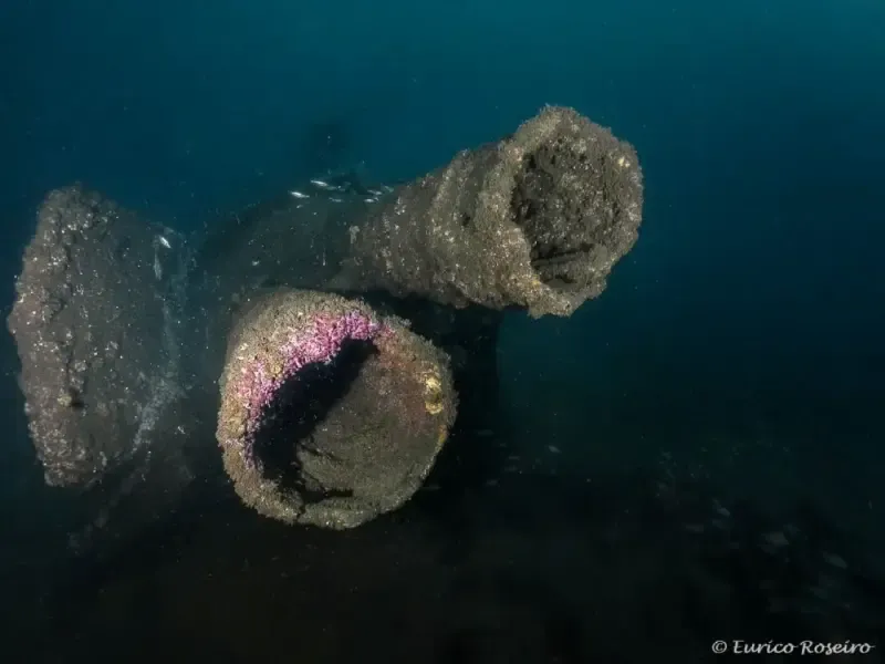 Dive the U-boat 1277 - the Most Iconic Dive in Portugal - 2
