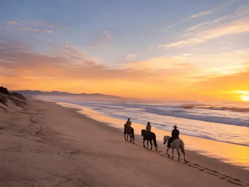 Passeio a cavalo ao pôr-do-sol na praia de Esposende - 2